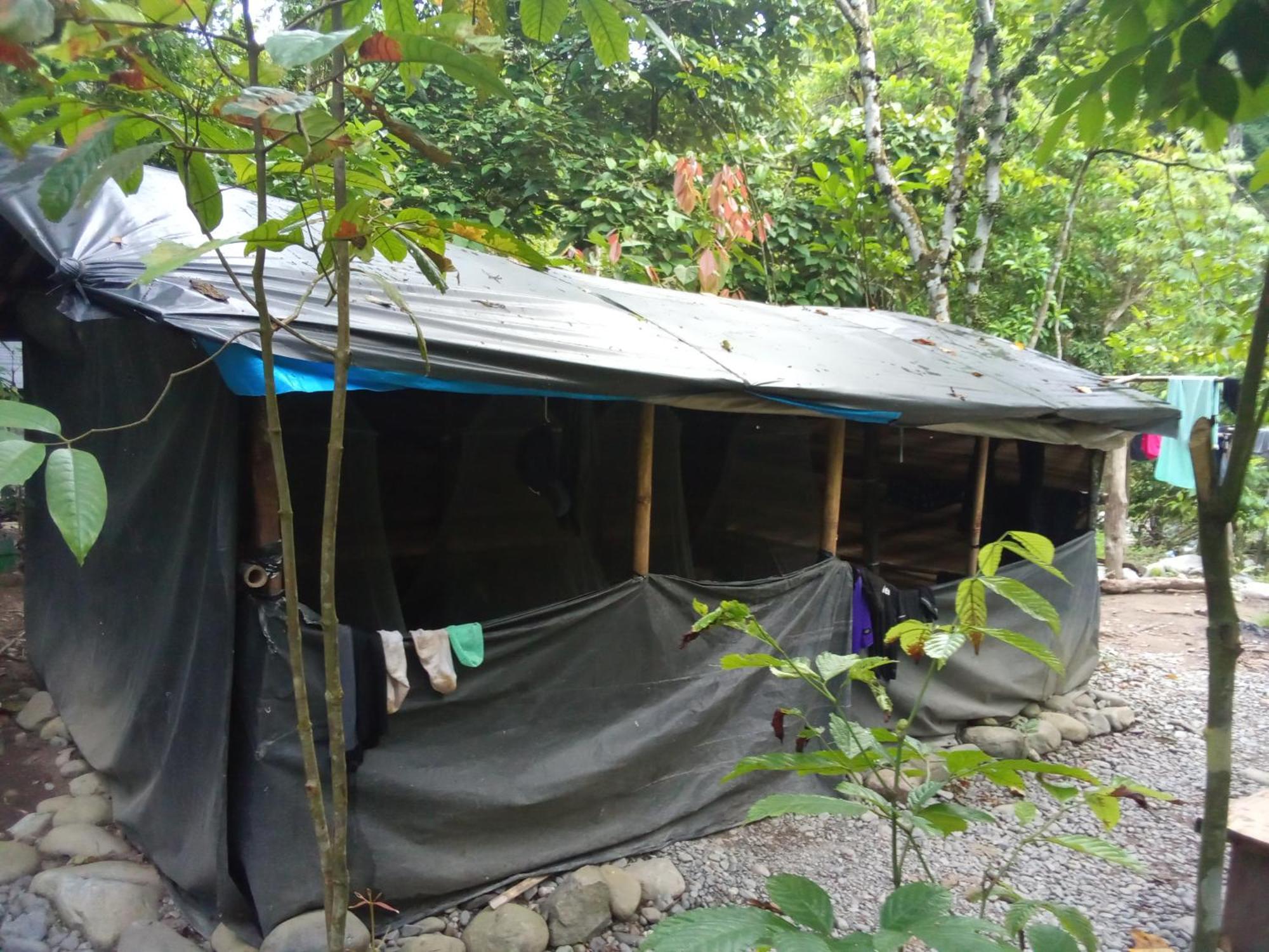 Jungle Treking & Jungle Tour If You Want To Stay Here,You Must Book Treking Only With Us Bukit Lawang Exterior photo