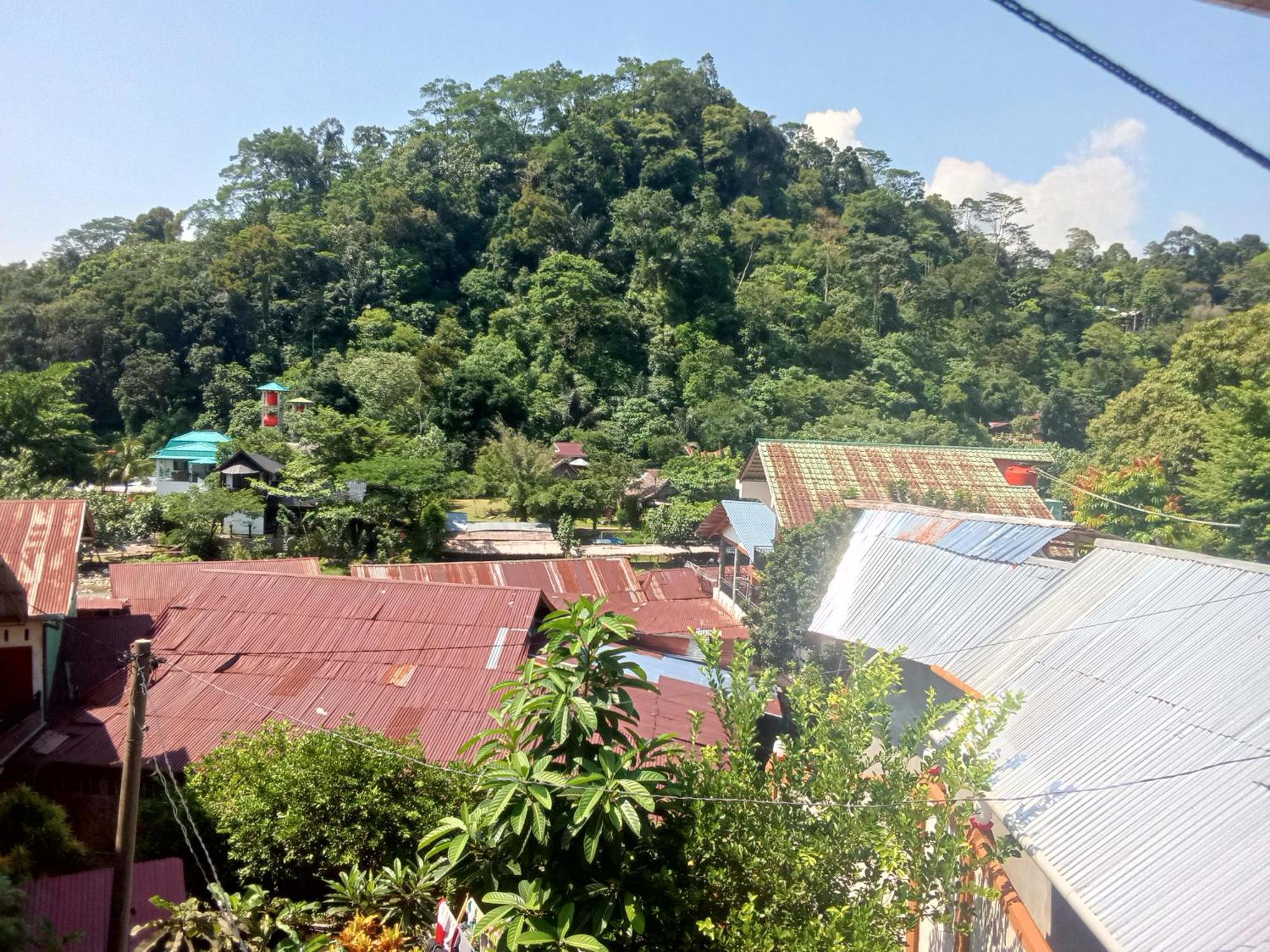 Jungle Treking & Jungle Tour If You Want To Stay Here,You Must Book Treking Only With Us Bukit Lawang Exterior photo
